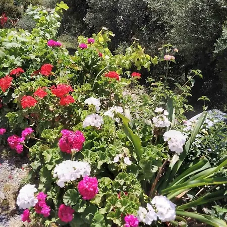 East Red Rock And View Maisonette Apartamento Leonídion