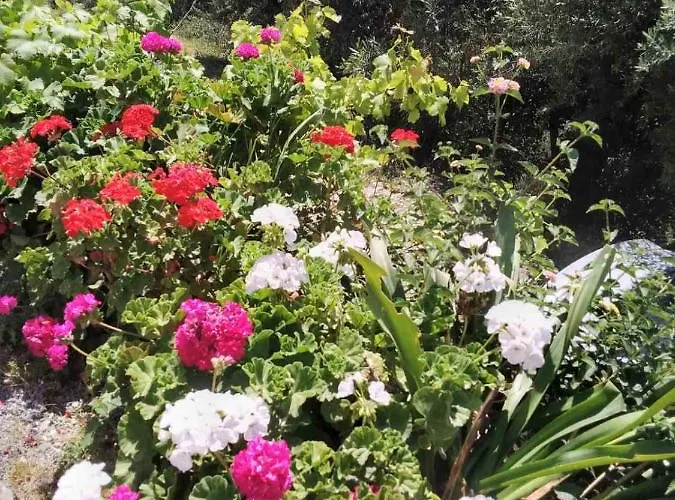 East Red Rock And View Maisonette Διαμέρισμα Λεωνίδιο